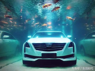 凯迪拉克代表车,凯迪拉克寓意象征