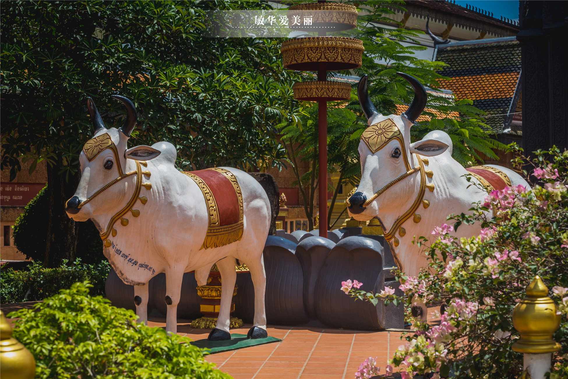 柬埔寨的传奇寺庙,历史上的柬埔寨寺庙