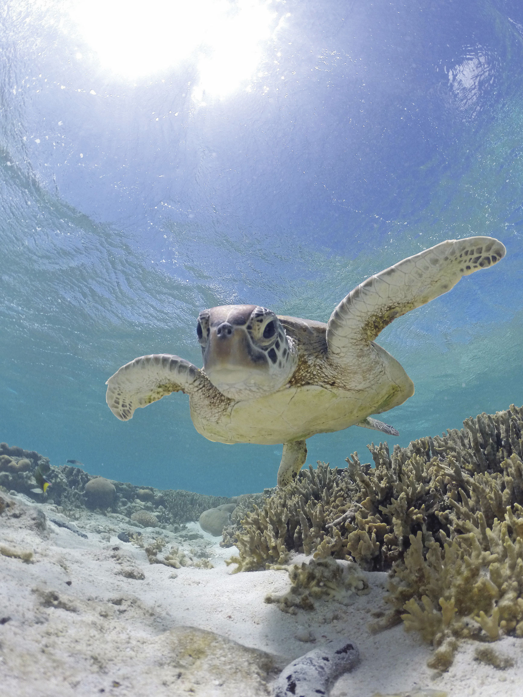 加勒比海盗拍摄地旅游,加勒比海盗4泰国取景地