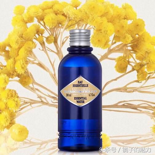 当下流行的轻奢品牌,小众轻奢品牌有哪些