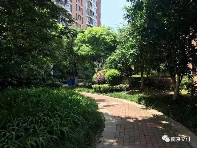 板桥小区怎么样啊,板桥比较好的新小区