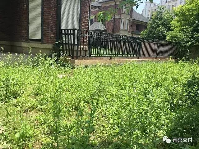 板桥小区怎么样啊,板桥比较好的新小区