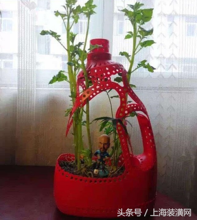 粉色洗衣液瓶子做花盆教程视频,洗衣液瓶子制作天鹅花盆方法图片