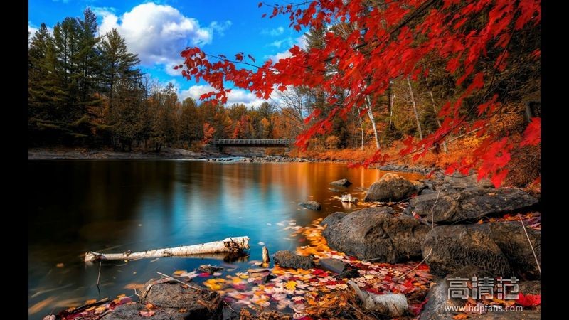 智能语音体验,智能语音的体验和剖析