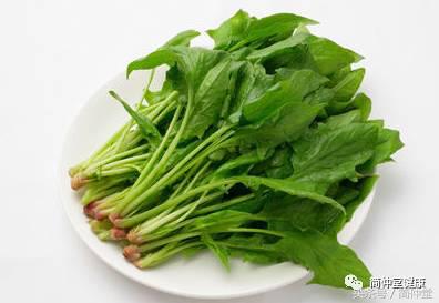 营养科专家推荐,营养专家公认的养生食物