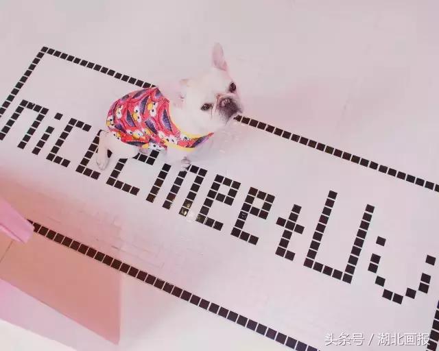 老武汉人的最爱，粉丝不远千里开车来吃，连开三家店