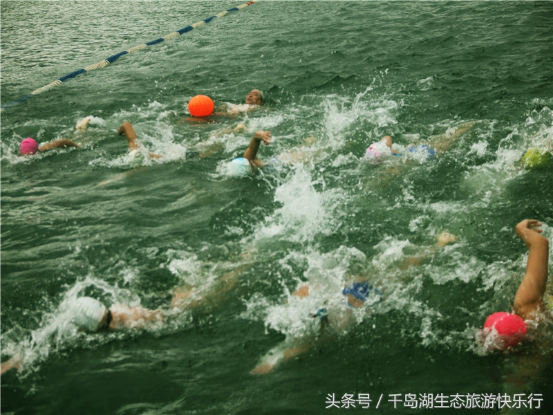 千岛湖人真有福!免费享受573km²的天然绿色游泳场(原创)