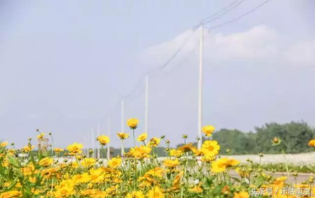 南京是一座很美的城市,南京最让人震撼的城市