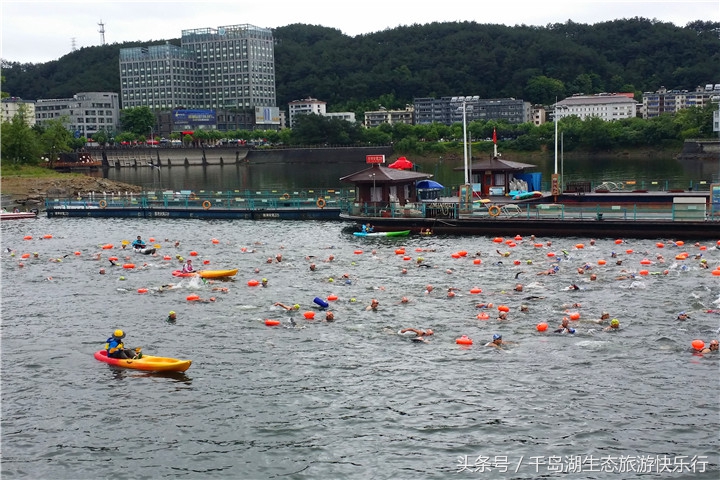 千岛湖人真有福!免费享受573km²的天然绿色游泳场(原创)