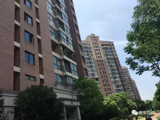 板桥小区怎么样啊,板桥比较好的新小区