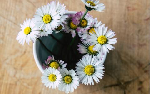 这就是爱情中最美的模样,爱情最美的模样