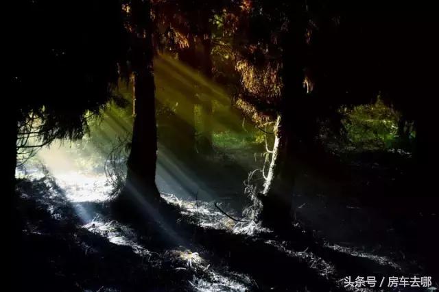 重庆约会地浪漫推荐,重庆打卡浪漫约会地住进风景里