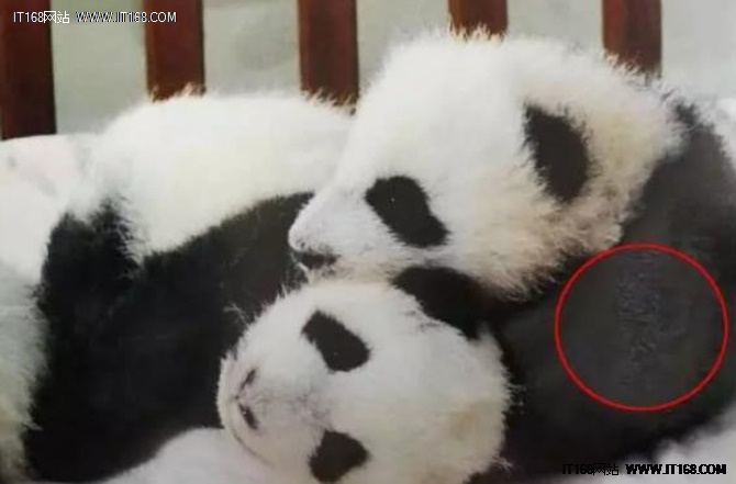 为什么打印的照片会褪色,为什么打印的照片是黑的