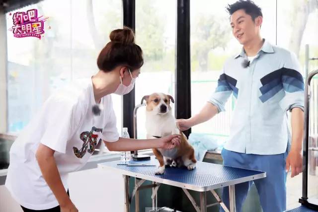 李晨和鹿晗亲自动手收拾狗狗窝,鹿晗和李晨遛狗