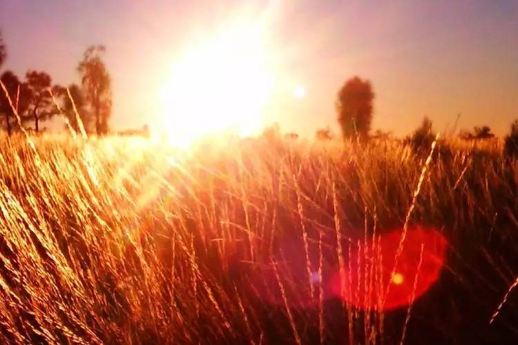 淘宝禁售app,淘宝禁售类目怎么规避