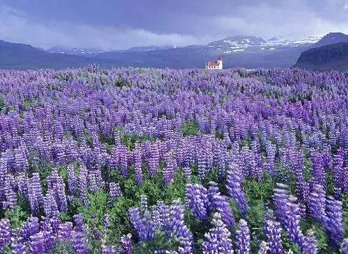 今年倒数第二天就放假了怎么回事,再坚持一天就放假了