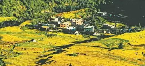 今年倒数第二天就放假了怎么回事,再坚持一天就放假了