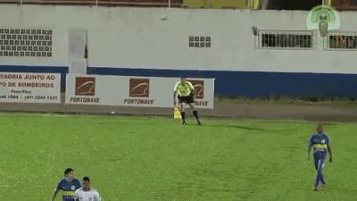 闯入足球场的动物,闯入者外国版叫什么