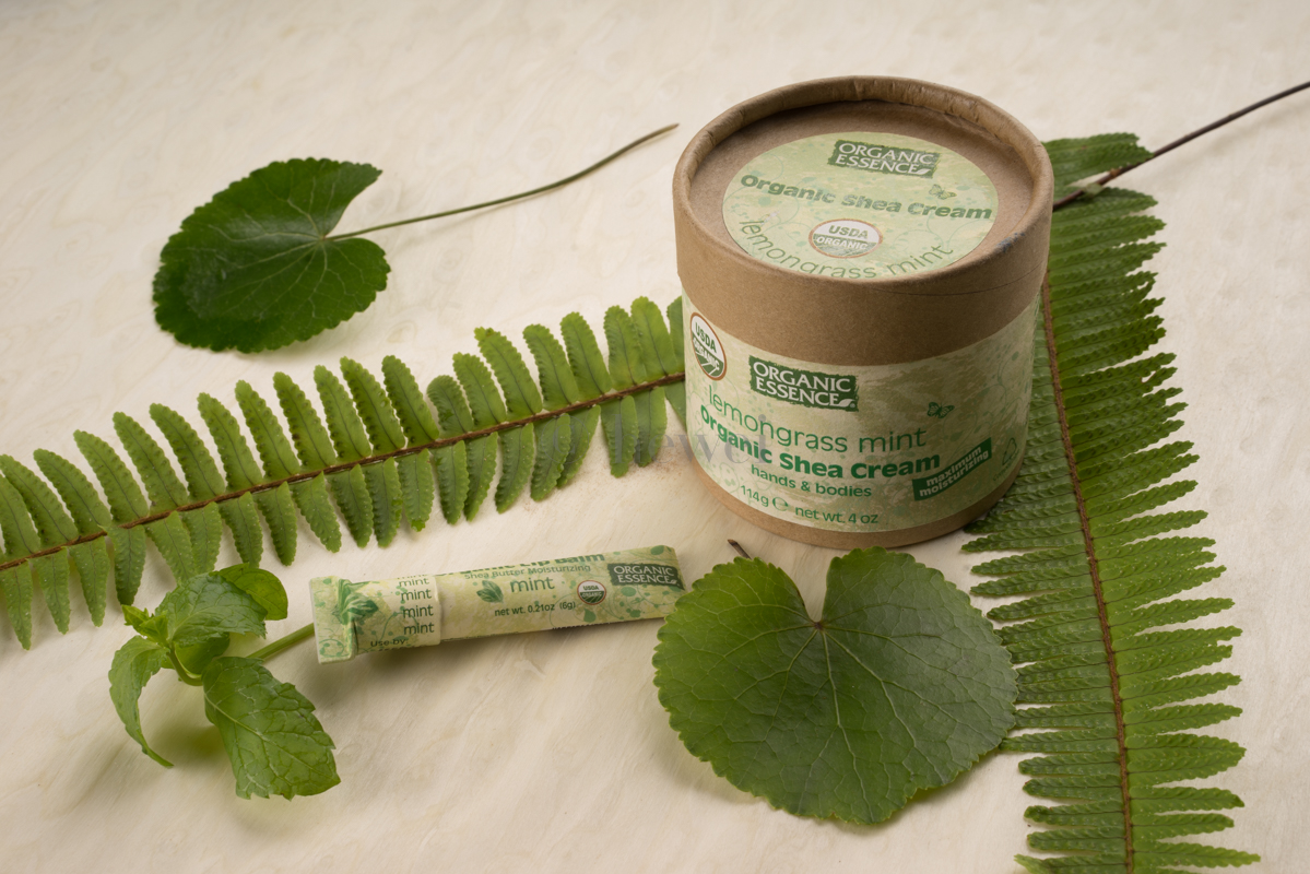 选择乳木果油让你远离皮肤干裂 (乳木果油可以治疗冬天脚跟干裂吗)