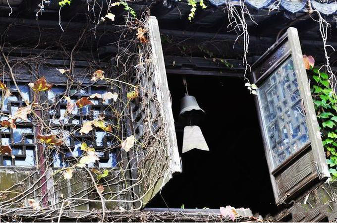 上海苏州自由行攻略,端午节去哪玩苏州上海