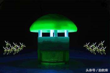 什么驱蚊效果好对孕妇没影响的,孕妇怎么驱蚊最有效又安全