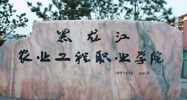 黑龙江大专院校热度排行榜,黑龙江专科排名前十