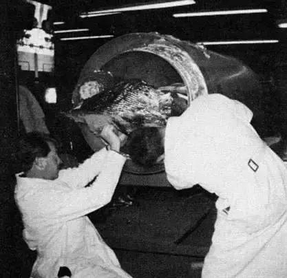 为了复活50年前的“冷冻人”,这个维修工背负了半世纪的骂名