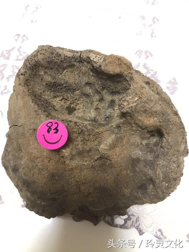 假的越南黑色土沉香,顶级沉香精品图片大全