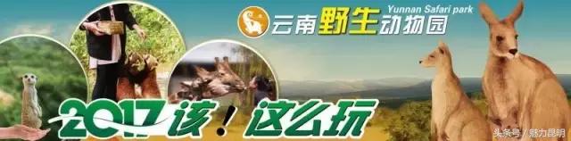 对不起我要去西安了,再见宜良