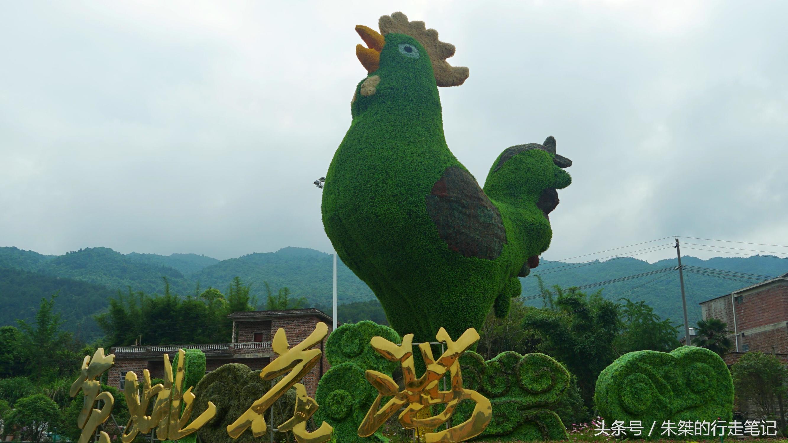 黄姚花海已经荒成草海,黄姚花海景区