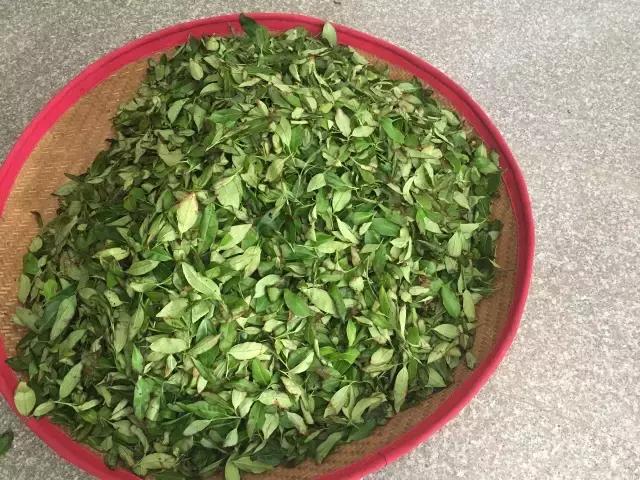 茶旅｜温润如水仙，会是你生活中的日常