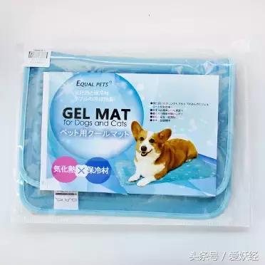 狗狗水床,爱妖经