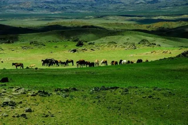 这是我的家乡内蒙古,内蒙古美丽的巴彦淖尔