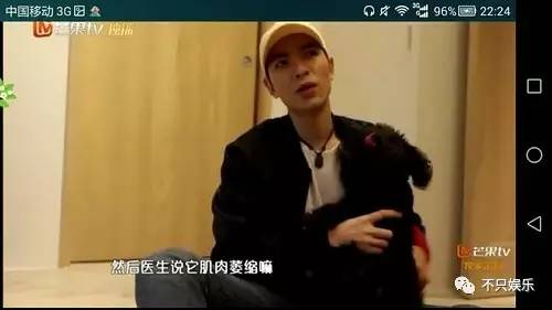 萧敬腾领养狗狗,萧敬腾领养孩子