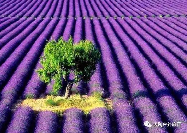 几月份去新疆飞机票最便宜,6月份哪里进疆机票优惠