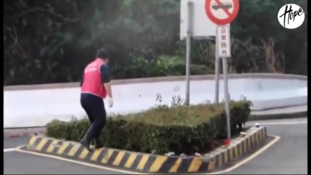 母狗眼里有泪,母狗生了一只有难产迹象