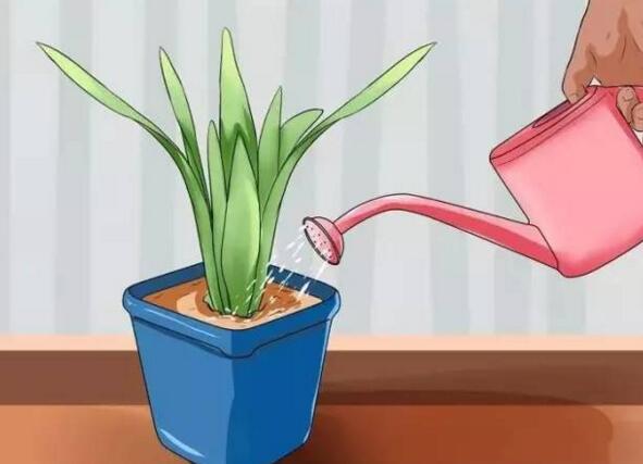 自制万能自动浇花神器,自动浇花神器自制