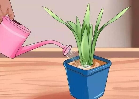 自制万能自动浇花神器,自动浇花神器自制