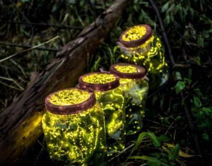 淘宝禁售防护用品,淘宝禁售保育龟