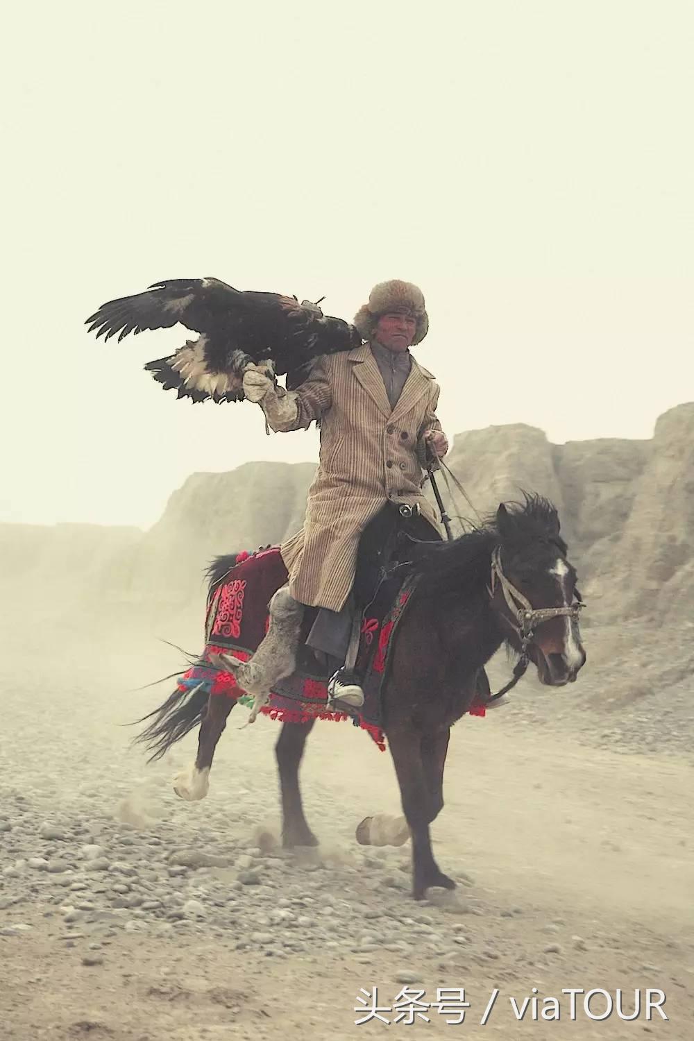 途迹｜克尔克孜猎鹰的故乡