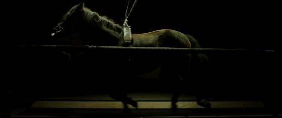 戛纳电影节最新三部悬疑惊悚电影,当年戛纳评分最高的悬疑片