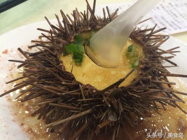 深圳好评最多的苍蝇馆子,深圳有名的苍蝇小馆