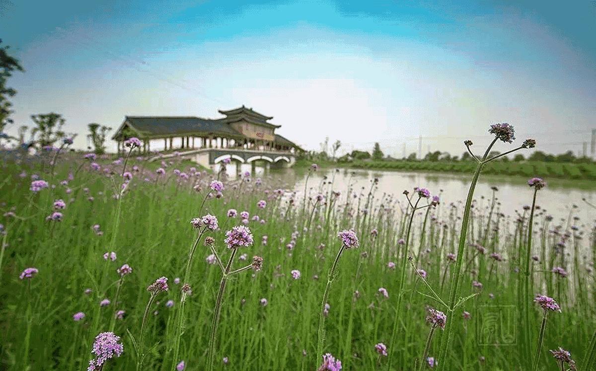 南京是一座很美的城市,南京最让人震撼的城市