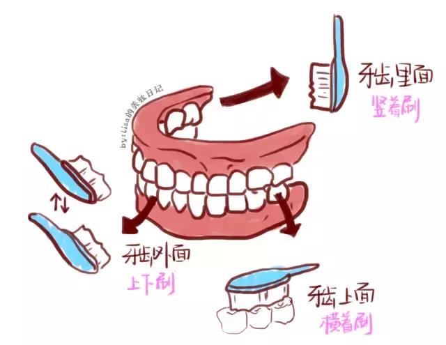 拥有一个好牙,拥有一口好的牙齿很重要