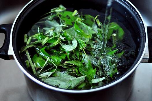 艾草止痒祛湿最好的方法,端午艾草有这种妙用