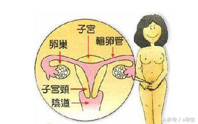 对女人至关重要，雌激素水平低，意味着什么？需要吃雌激素药吗？