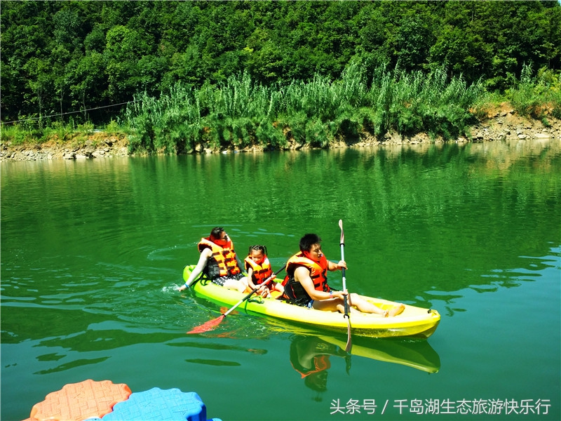 千岛湖人真有福!免费享受573km²的天然绿色游泳场(原创)