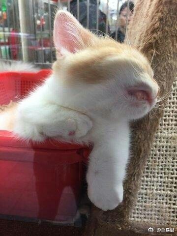 咽口水强迫症,总是想咽口水强迫症