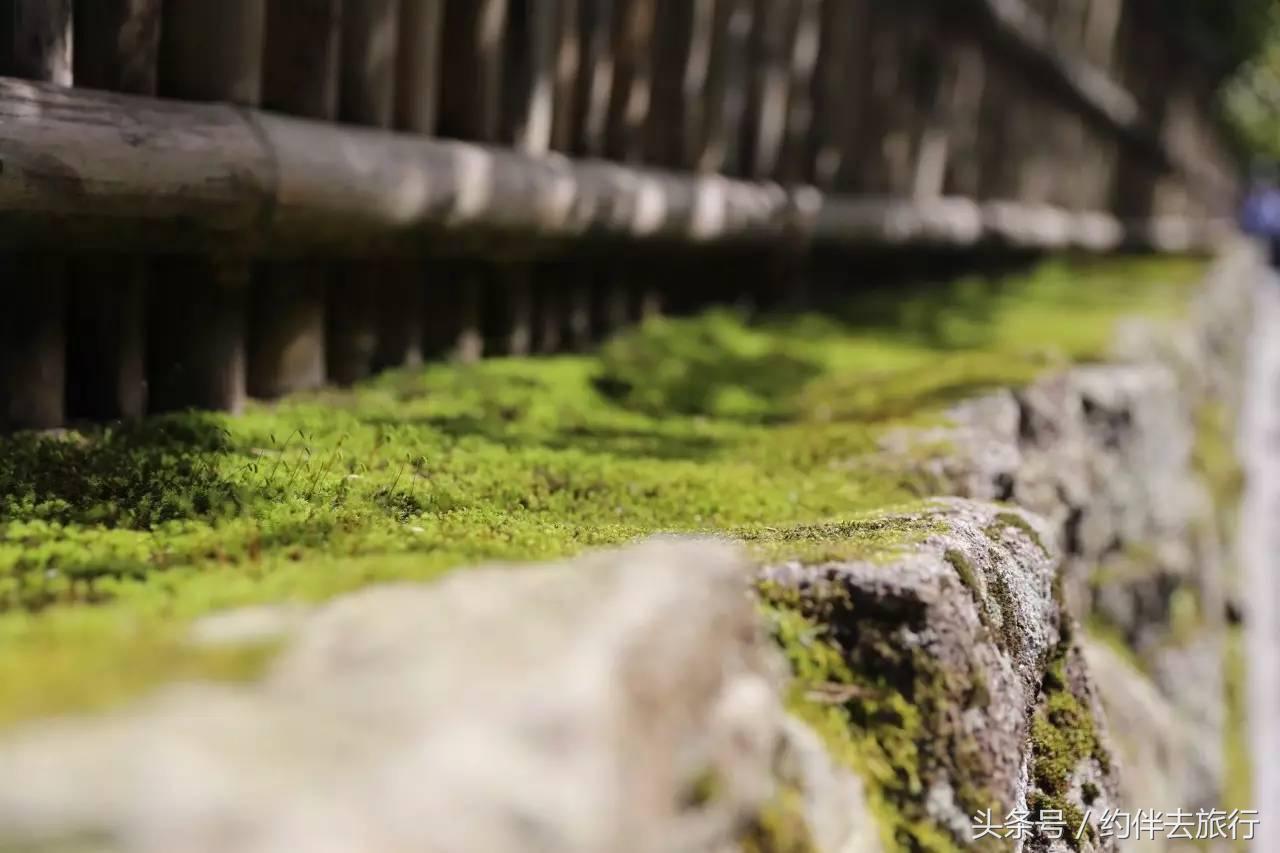 漫步京都,探秘京都你不知道的百年美食老店