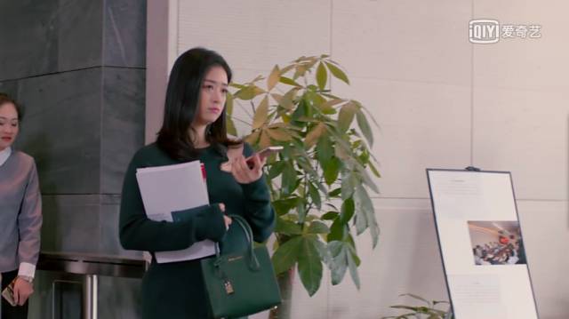 樊胜美王柏川的包,樊胜美包包